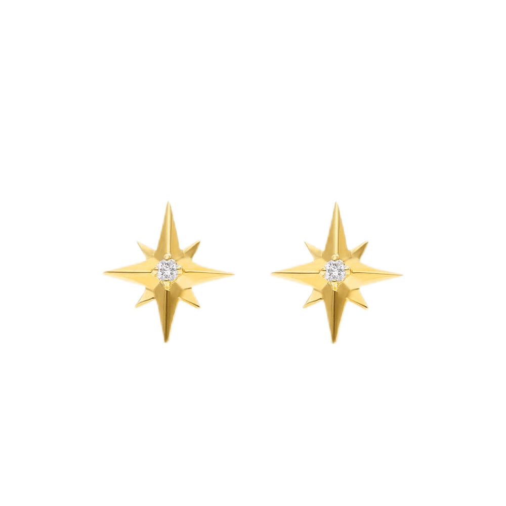 Guiding Star Ear Studs